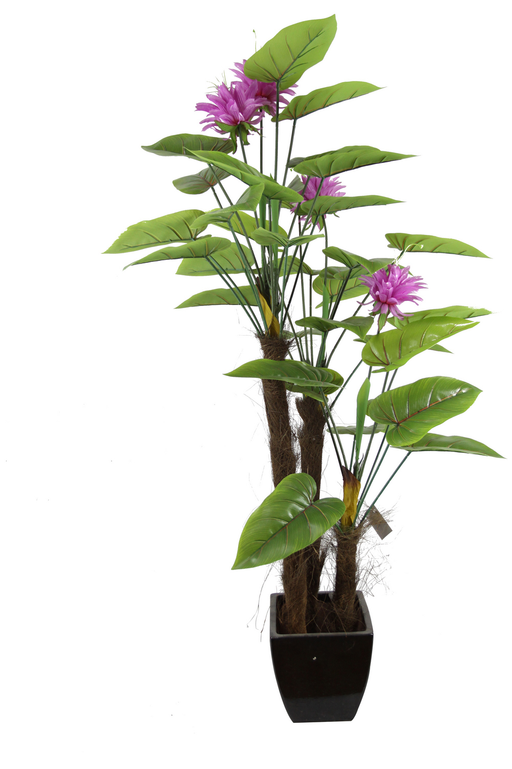 ֲ,Artificial Plants