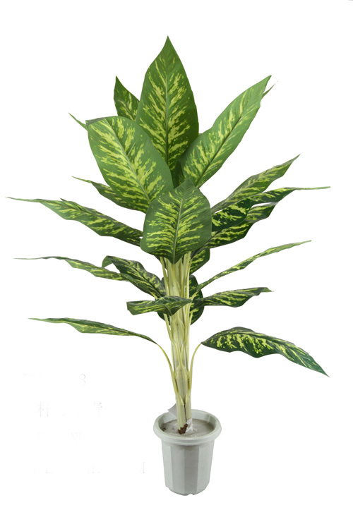 ֲ,Artificial Plants